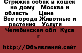 Стрижка собак и кошек на дому.  Москва и область.  › Цена ­ 1 200 - Все города Животные и растения » Услуги   . Челябинская обл.,Куса г.